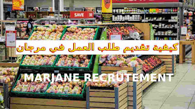 العمل في مرجان 2022 طريقة التسجيل و الشروط المطلوبة
